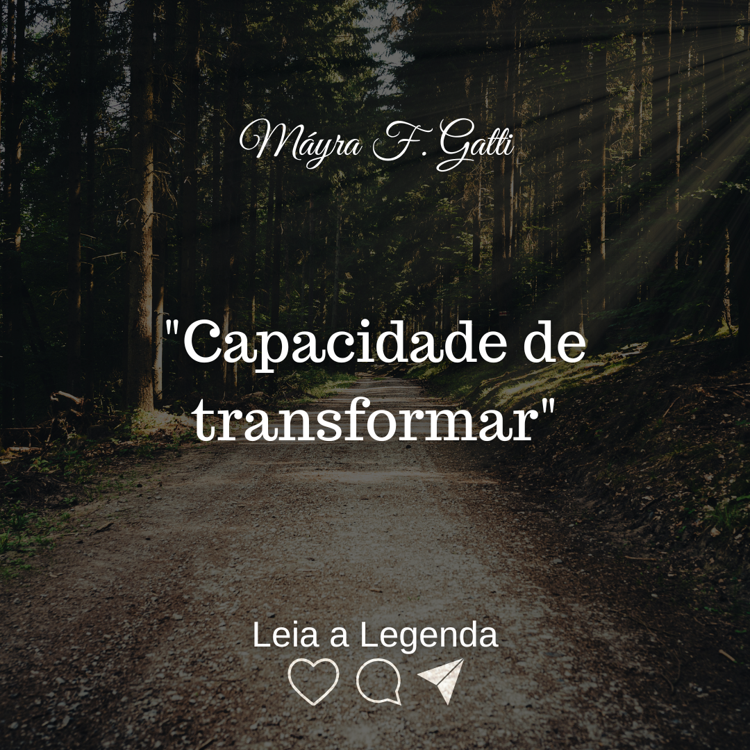Read more about the article Capacidade de transformar.