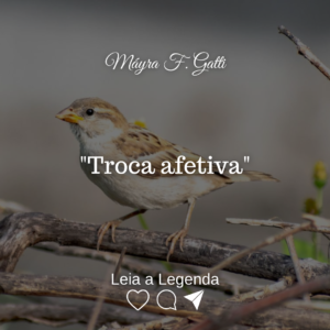 Read more about the article Troca afetiva