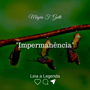 Read more about the article “Impermanência”