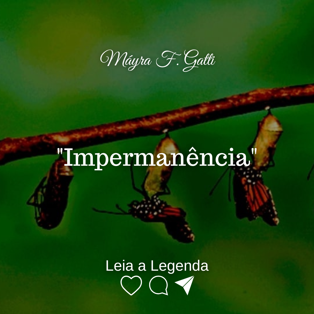Read more about the article “Impermanência”